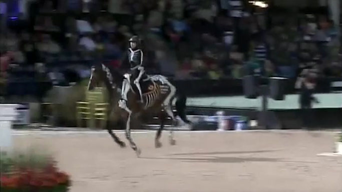 Show Jumping West Palm Beach